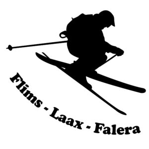 Skifahrer Nr.01