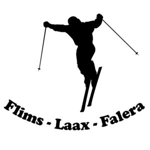 Skifahrer Nr.03